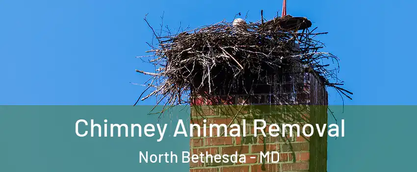 Chimney Animal Removal North Bethesda - MD