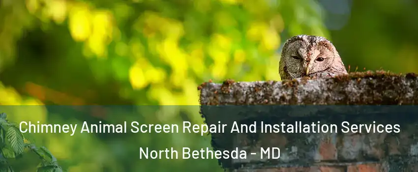  Chimney Animal Screen Repair And Installation Services North Bethesda - MD