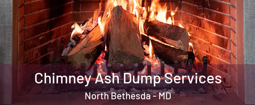  Chimney Ash Dump Services North Bethesda - MD