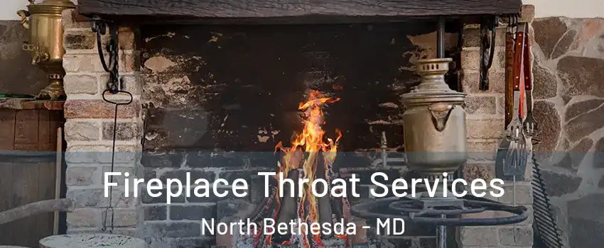  Fireplace Throat Services North Bethesda - MD
