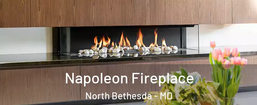  Napoleon Fireplace North Bethesda - MD