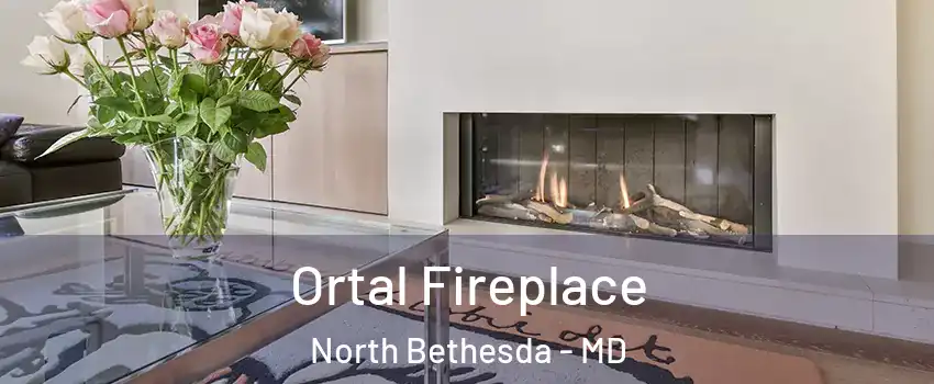 Ortal Fireplace North Bethesda - MD